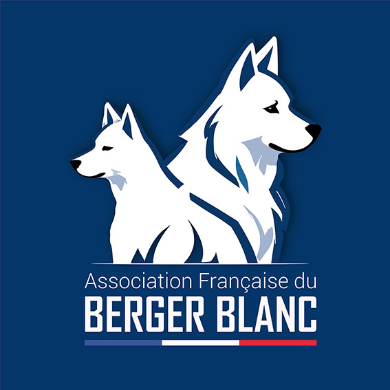 Appel à candidature