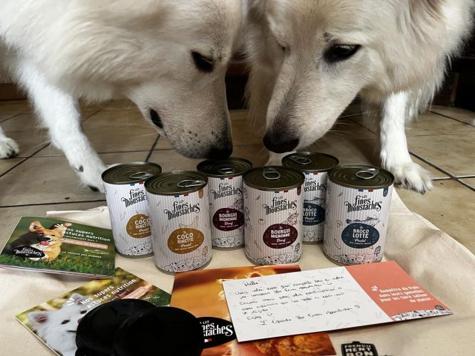 Optimisez la Nutrition de Votre Berger Blanc Suisse avec Wolfood /Les Fines Moustaches