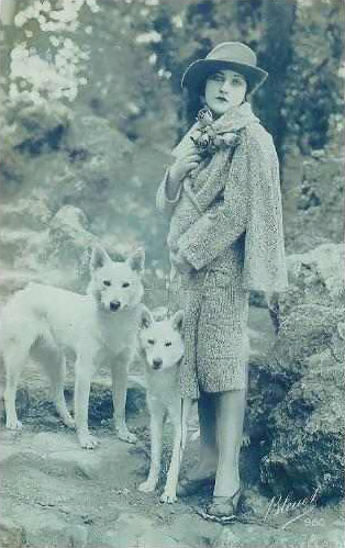 Groupe de bergers blancs suisses