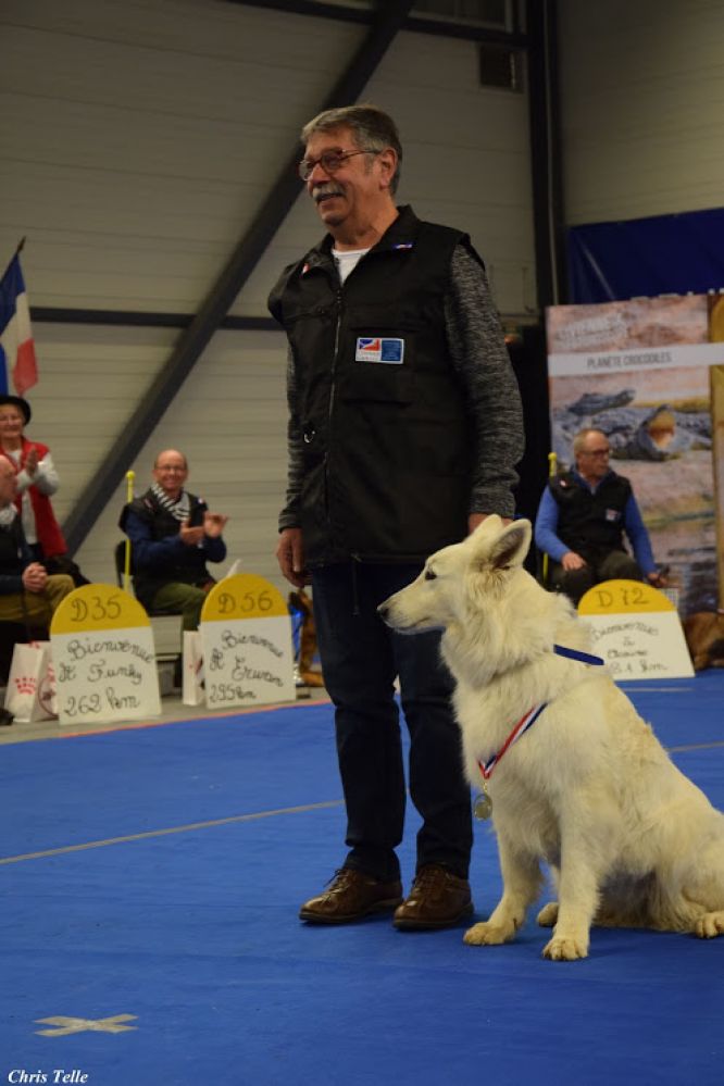 Résultats du Berger Blanc Suisse en pistageFR