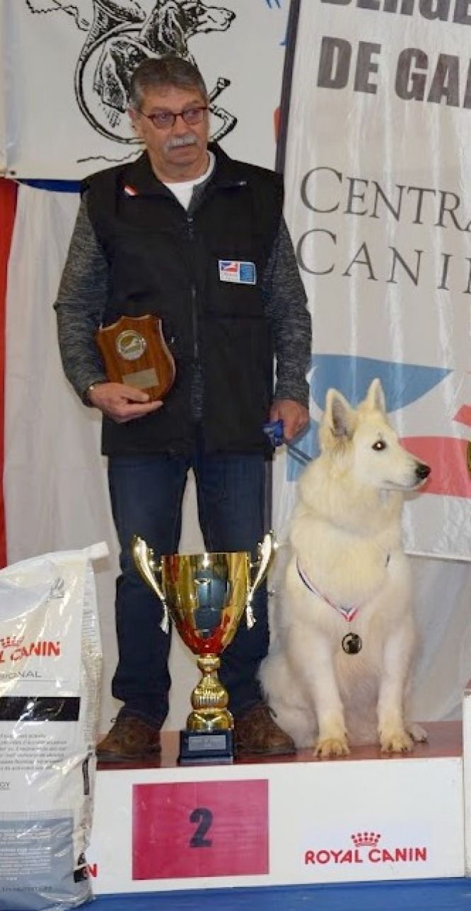 Résultats du Berger Blanc Suisse en pistageFR