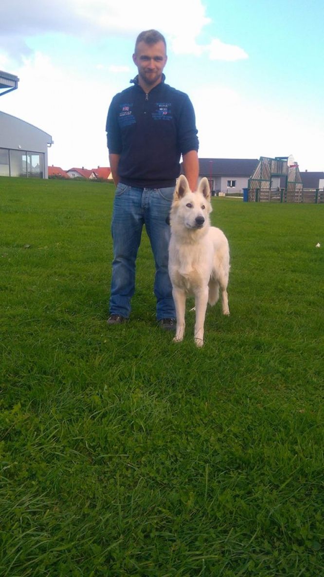 Résultats du Berger Blanc Suisse en pistageFCI
