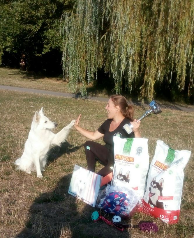 Résultats du Berger Blanc Suisse en agility