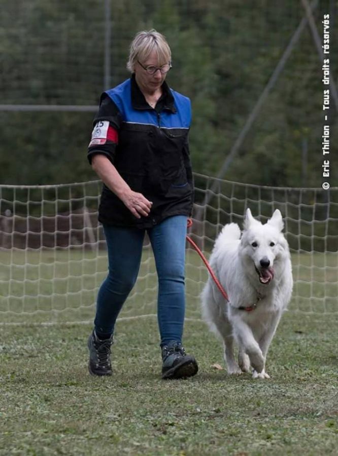 Résultats du Berger Blanc Suisse en sauvetage