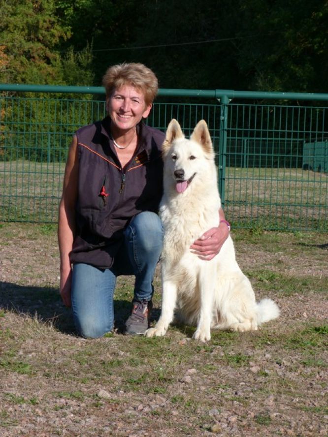Résultats du Berger Blanc Suisse en obeissance