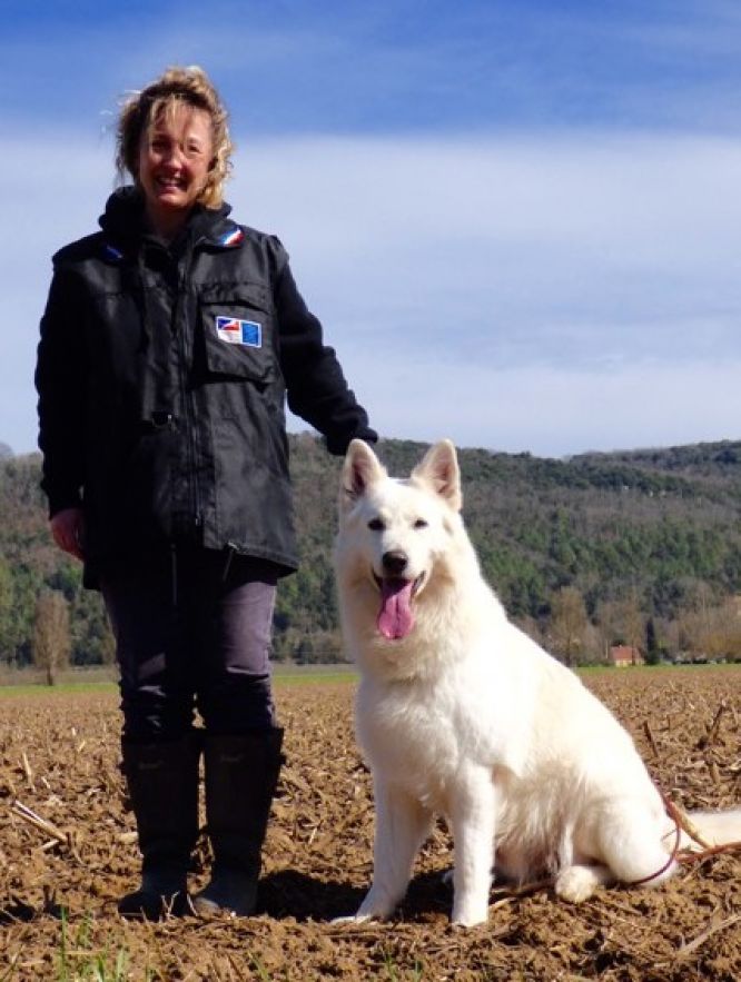 Résultats du Berger Blanc Suisse en pistageFCI