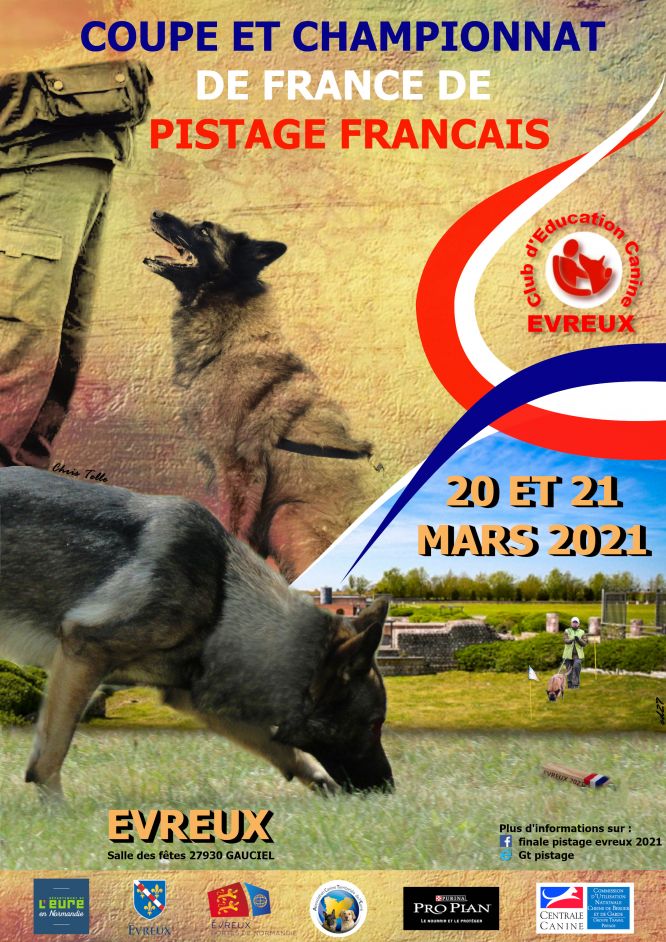 Résultats du Berger Blanc Suisse en pistageFR