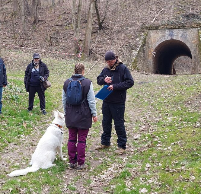Résultats du Berger Blanc Suisse en sauvetage