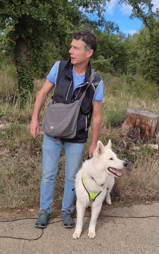 Résultats du Berger Blanc Suisse en RU