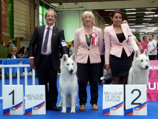Championnat de France 2018