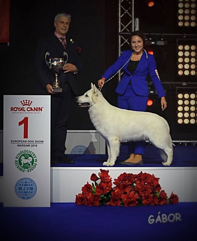 Championnat d'Europe de Varsovie 