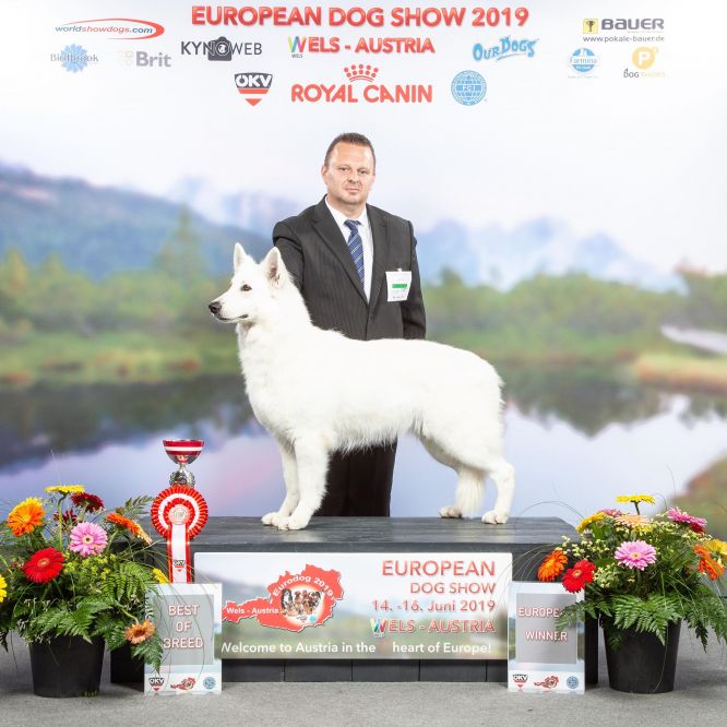 Championnat D'EUROPE