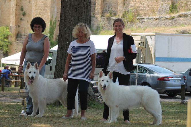 Régionale d'Elevage Nouvelle Aquitaine 2019