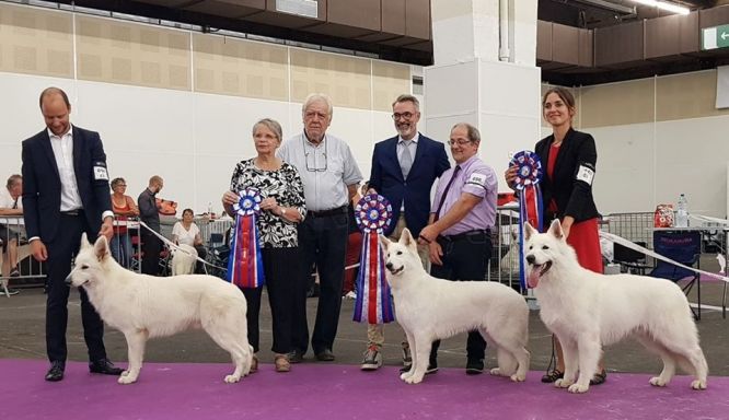 Nationale d'Elevage 2019 - Dijon