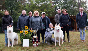 Bergers blancs suisses en exposition canine