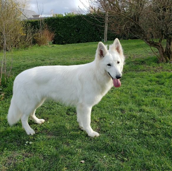 Portrait de Tahia de la Croix de Naudin
