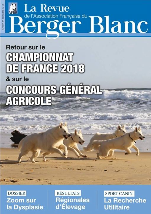 Revue du berger blanc suisse numéro 10